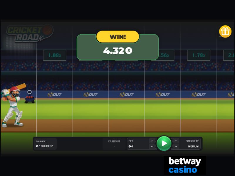 Краткая информация о Cricket Road
